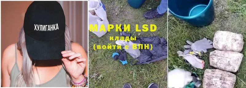 где можно купить   Губкин  LSD-25 экстази кислота 